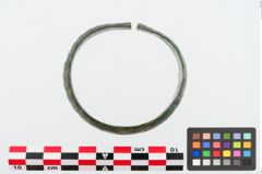 Foto von Bronzemelonenarmreif (NHMW-PRAE-024877)
